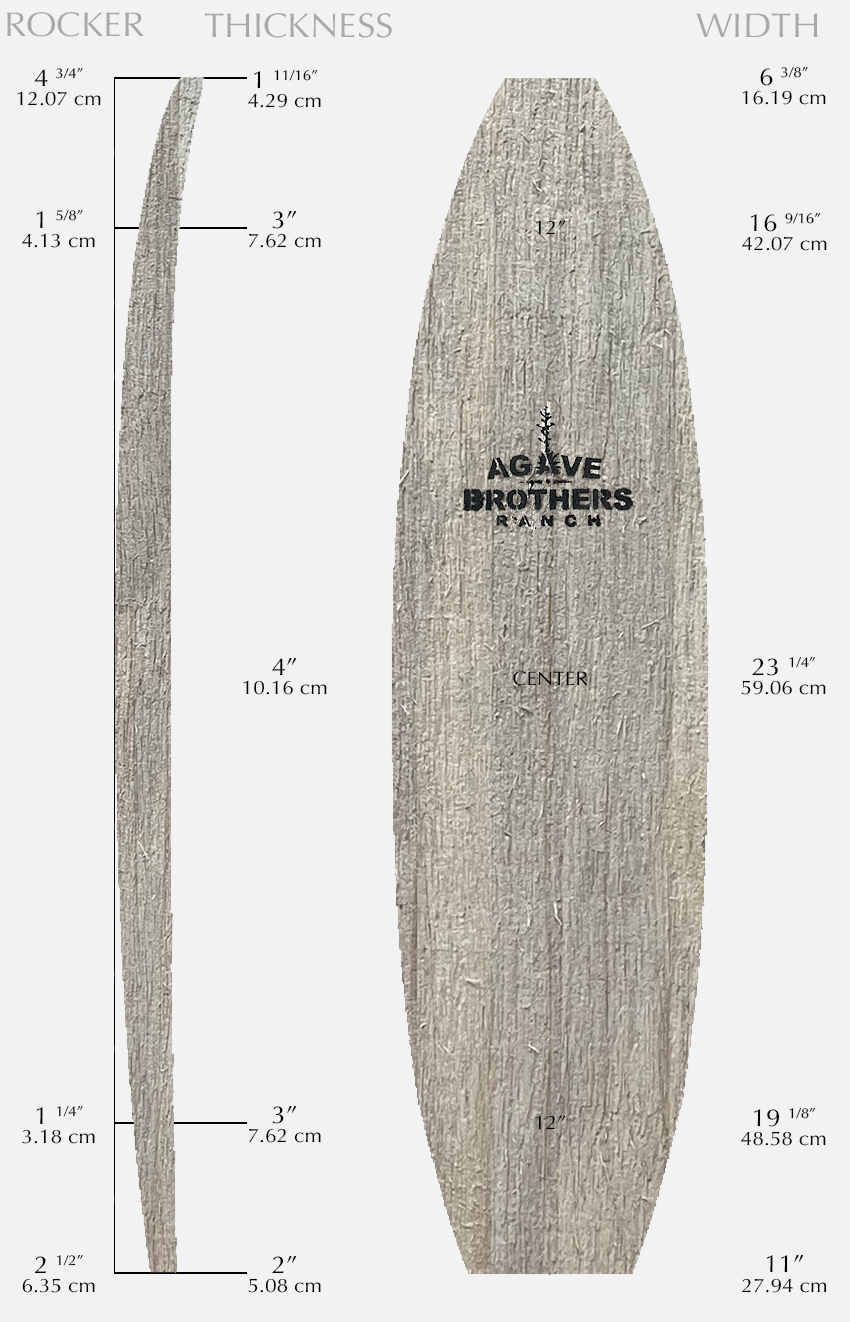 73 Agave with Measurements Wood